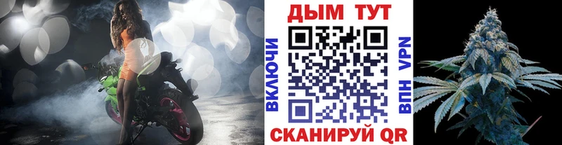 Купить закладку Псилоцибиновые грибы  Марихуана  Меф мяу мяу  ГАШИШ  Ефремов