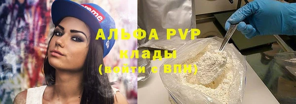 мяу мяу мука Иннополис