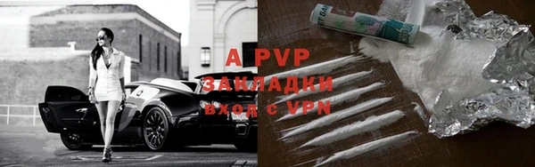гашик Инсар