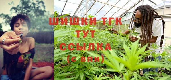 гашик Инсар