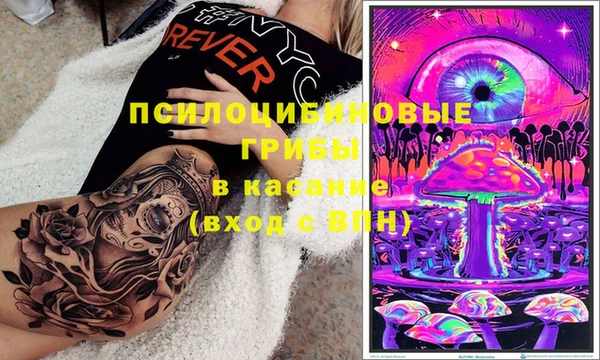 гашик Инсар