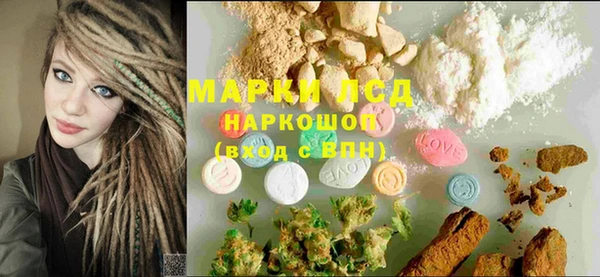мяу мяу мука Иннополис