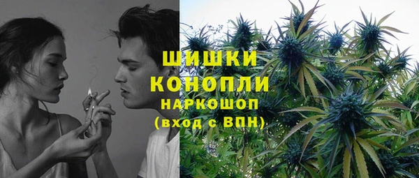 мяу мяу мука Иннополис