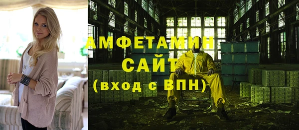 гашик Инсар