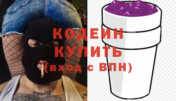гашик Инсар