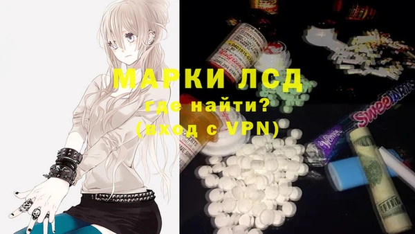 мяу мяу мука Иннополис