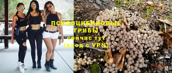 хмурый Пестово