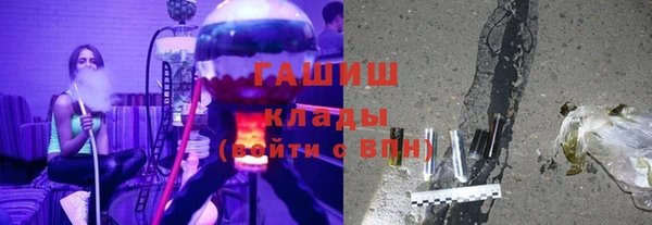 мяу мяу мука Иннополис