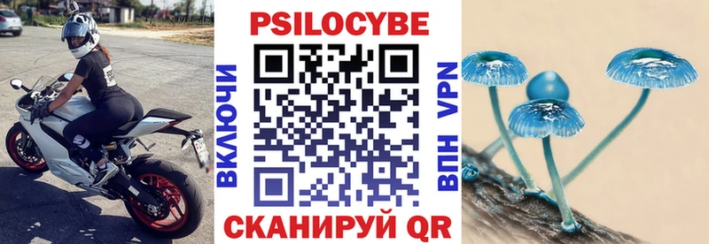 Псилоцибиновые грибы GOLDEN TEACHER  Купить закладки  Ефремов 